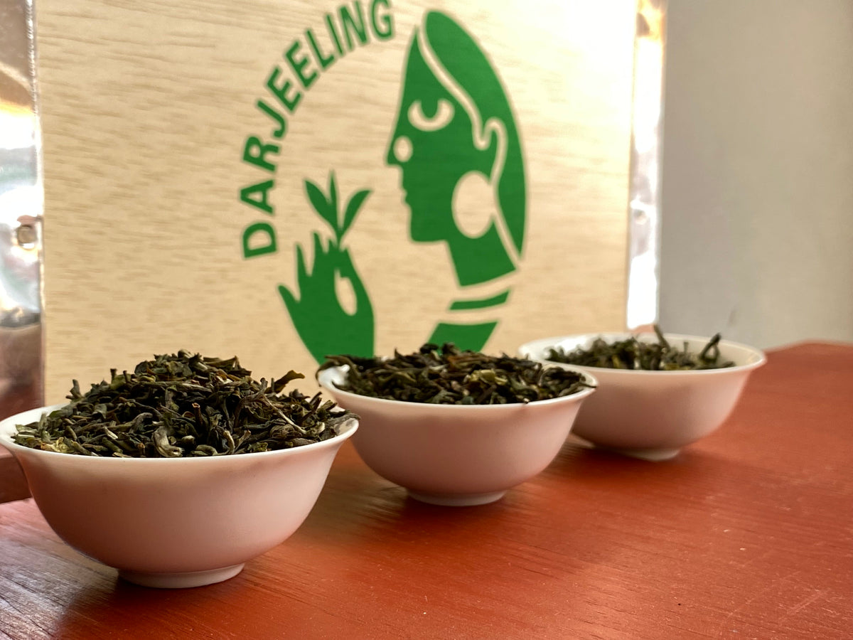 Köp First Flush Darjeeling 2024 | Tonåringars champagne – Nordic Tea