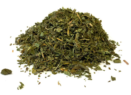 Citron Verbena økologisk
